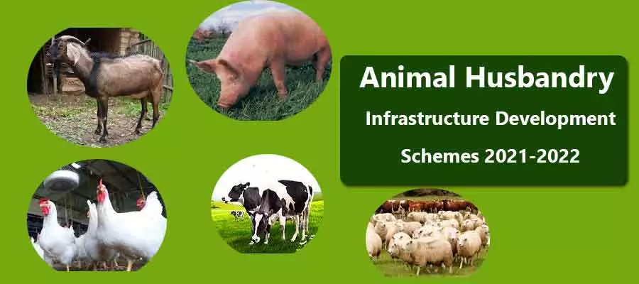 What are Animal Husbandry Infrastructure Development | AHIDF Schemes  2021-2022 Center Schemes